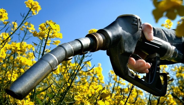 Is it worthwhile to Distill Bio-Ethanol as Fuel?