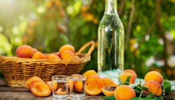 Apricot Brandy or Mampoer Recipe