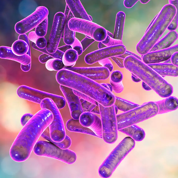 Bacterial Infections in Fermentations