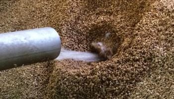 Barley, Malting and Malt – Part 2 of 4: The Barley Malting Process – Steeping