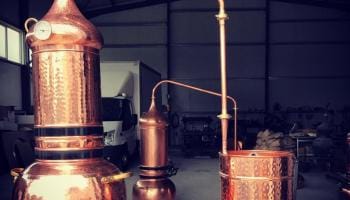 Essential Oil Extraction through Distillation