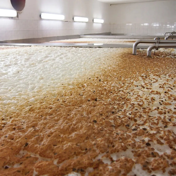 Failed Fermentations and Fixing