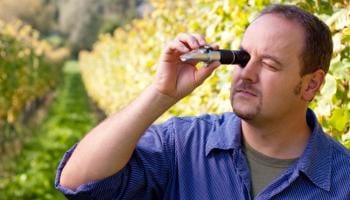 Incorrect Readings - Comparing Refractometer and SG Hydrometer Readings