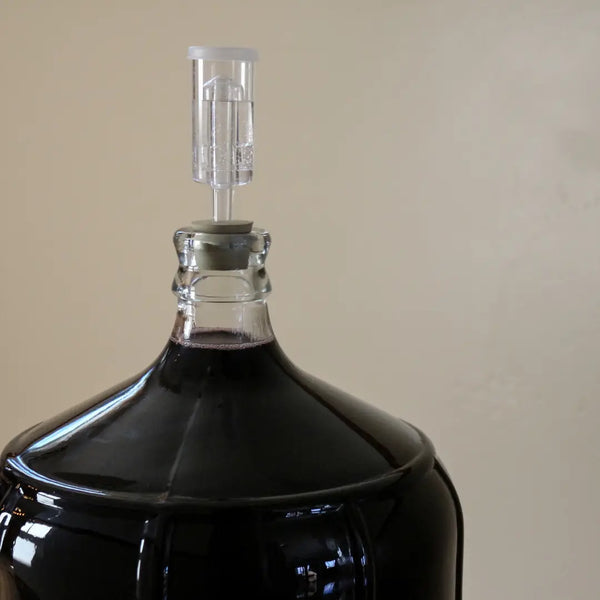 Monitoring Fermentations