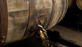 Understanding Oak Barrel Maturation