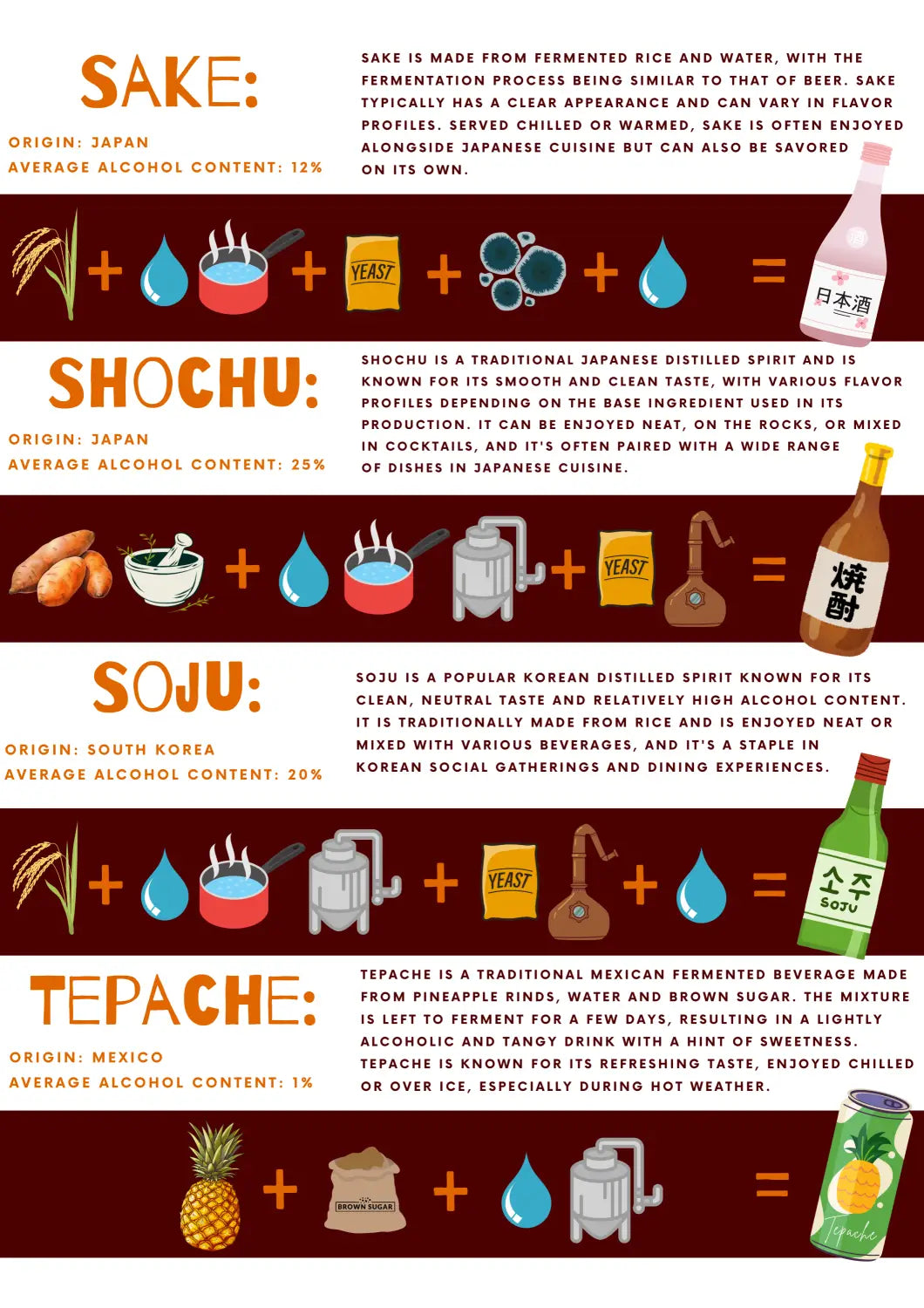 Alcohol Origin Ingredients and Processes Infographic