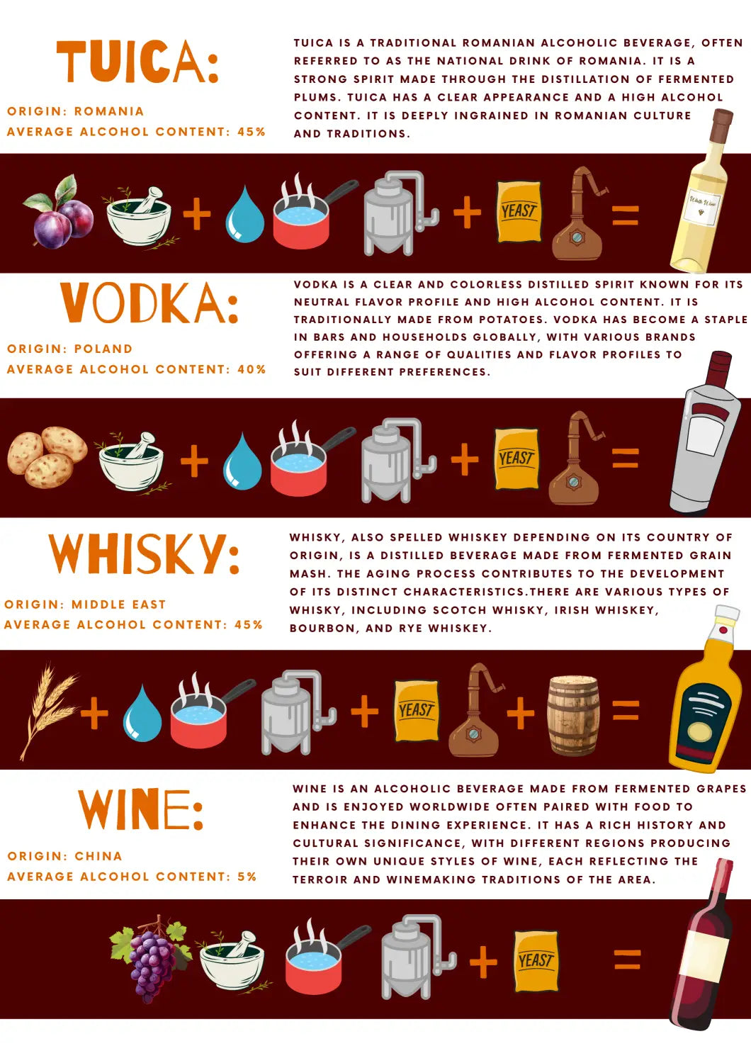 Alcohol Origin Ingredients and Processes Infographic