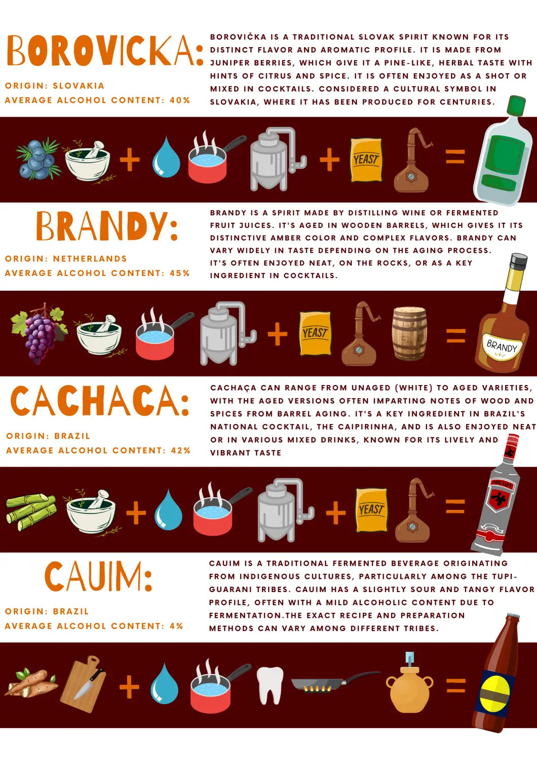 Alcohol Origin Ingredients and Processes Infographic