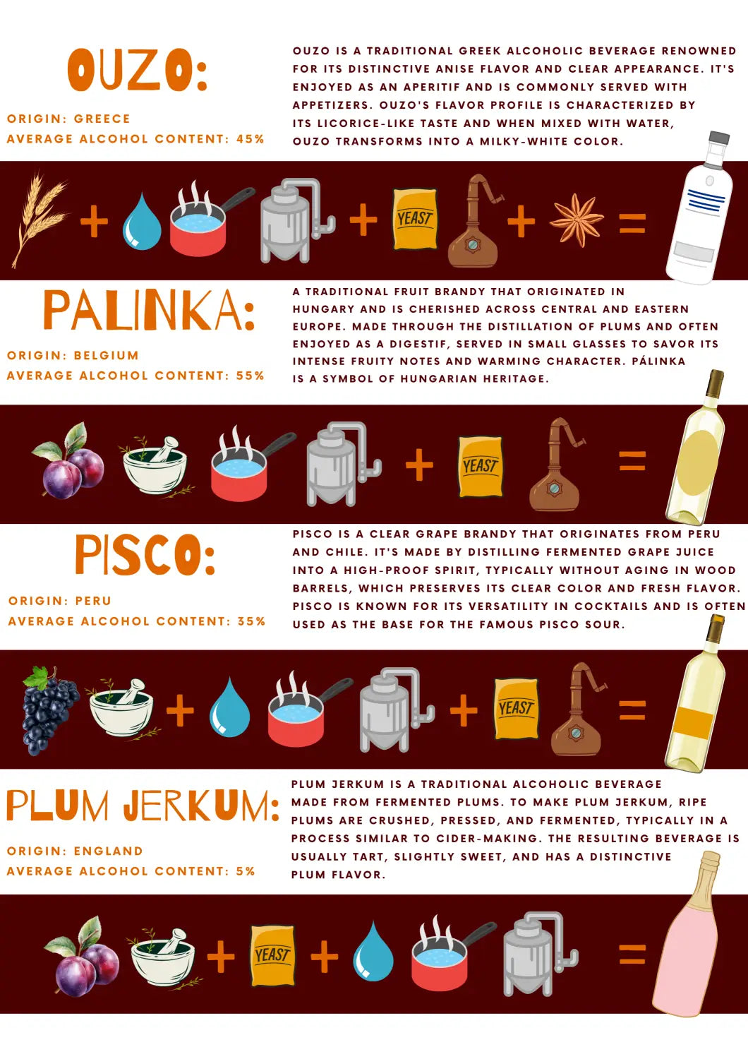 Alcohol Origin Ingredients and Processes Infographic