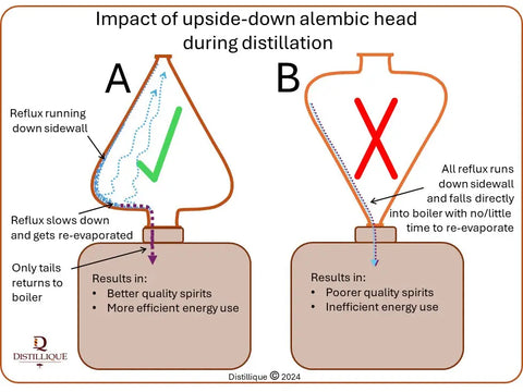 Can an Alembic head be upside down...and