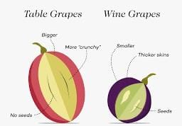 Wine from grapes