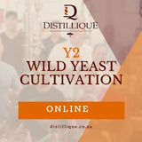 Y2 - Wild Yeast Cultivation Training (Yeast Lab Work)