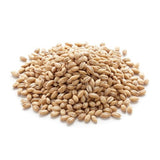 Barley Malt (1 kg)
