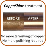 CoppaShine Treatment